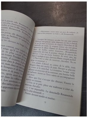 Le chevalier au bouclier vert : Roman d'aventure médiéval par Odile Weulersse