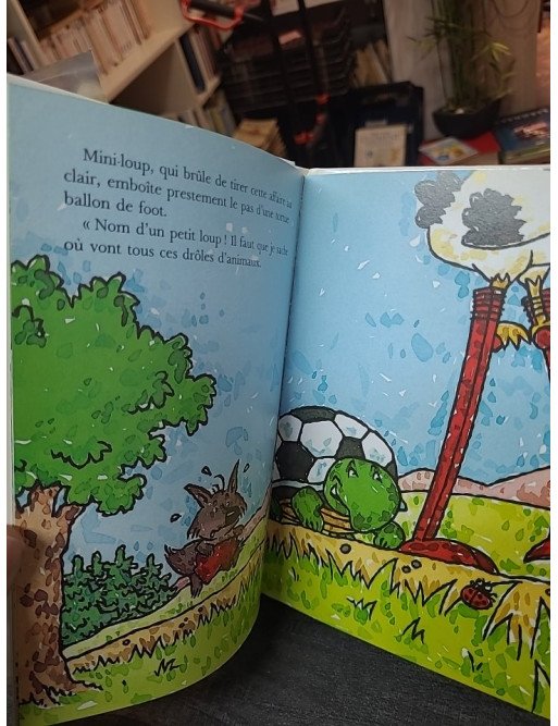 Mini-Loup au bal masqué par Philippe Matter et Évelyne Lallemand : Aventure pour Enfants