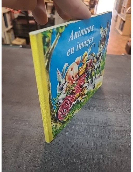 Animaux En Images : Premier Imagier pour l'Éveil des Tout-Petits (Hachette Jeunesse)