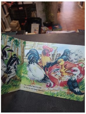Animaux En Images : Premier Imagier pour l'Éveil des Tout-Petits (Hachette Jeunesse)