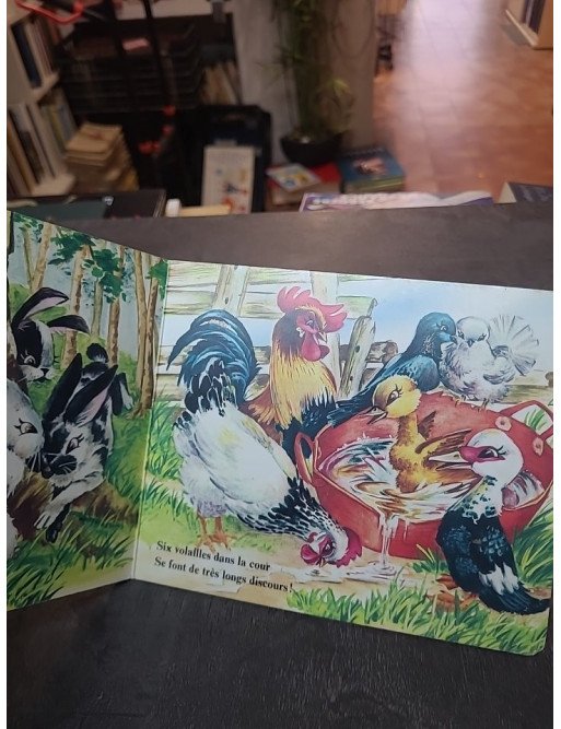 Animaux En Images : Premier Imagier pour l'Éveil des Tout-Petits (Hachette Jeunesse)