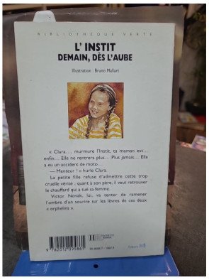 L'instit - Demain, Dès L'aube par Gudule : Roman d'Aventure pour la Jeunesse