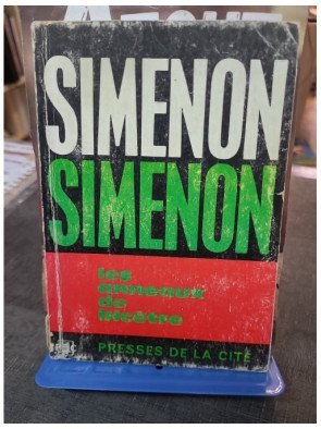 Les Anneaux de Bicêtre de Georges Simenon : Roman Psychologique sur la Maladie et la Rédemption (1963)