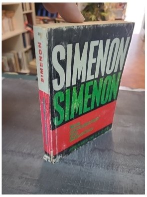 Les Anneaux de Bicêtre de Georges Simenon : Roman Psychologique sur la Maladie et la Rédemption (1963)