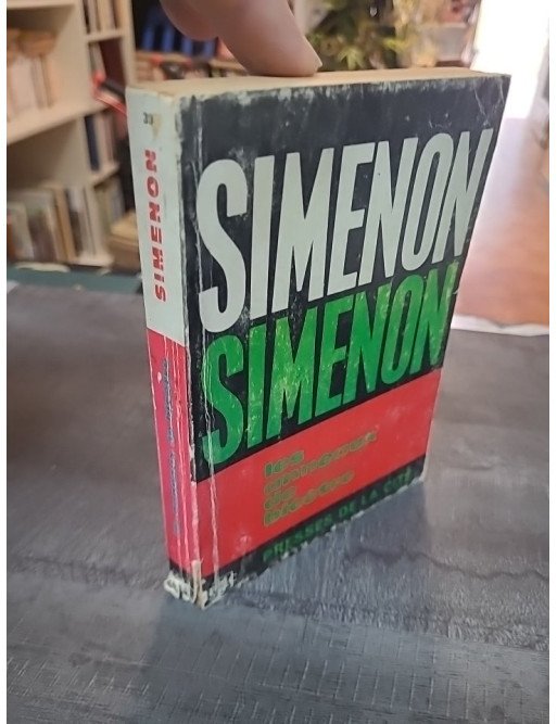 Les Anneaux de Bicêtre de Georges Simenon : Roman Psychologique sur la Maladie et la Rédemption (1963)
