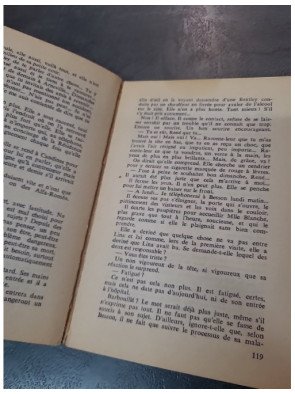 Les Anneaux de Bicêtre de Georges Simenon : Roman Psychologique sur la Maladie et la Rédemption (1963)