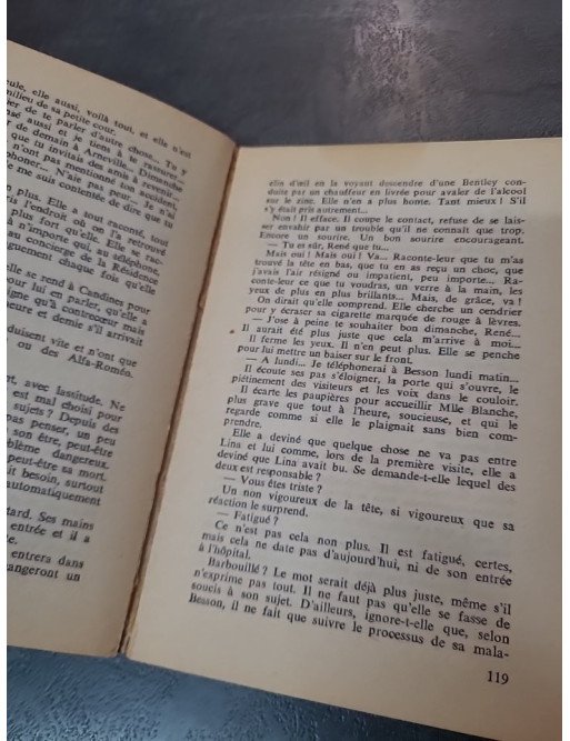 Les Anneaux de Bicêtre de Georges Simenon : Roman Psychologique sur la Maladie et la Rédemption (1963)