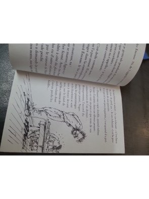 Fous de foot : L'Aventure de Sonia chez les Poussins par Fanny Joly et Christophe Besse (Casterman)