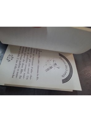 L'arc-en-ciel magique - Clémentine, le fée orange par Daisy Meadows