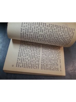 Les Choses : Une histoire des années soixante - Roman culte de Georges Perec (Prix Renaudot 1965)