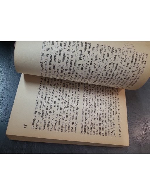 Les Choses : Une histoire des années soixante - Roman culte de Georges Perec (Prix Renaudot 1965)