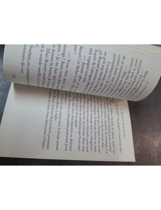 Le roman de Renart (Contes du Moyen Âge) par Karine Tournade - Lire c'est partir