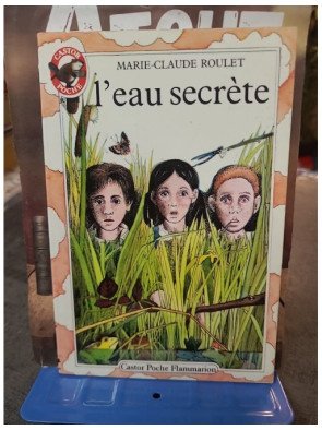 L'eau secrète par Marie-Claude Roulet - Roman jeunesse Castor Poche Flammarion