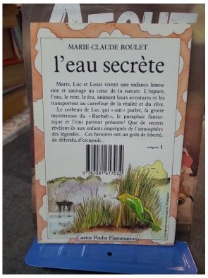 L'eau secrète par Marie-Claude Roulet - Roman jeunesse Castor Poche Flammarion