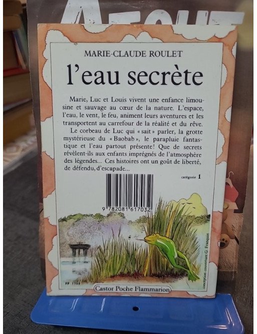 L'eau secrète par Marie-Claude Roulet - Roman jeunesse Castor Poche Flammarion