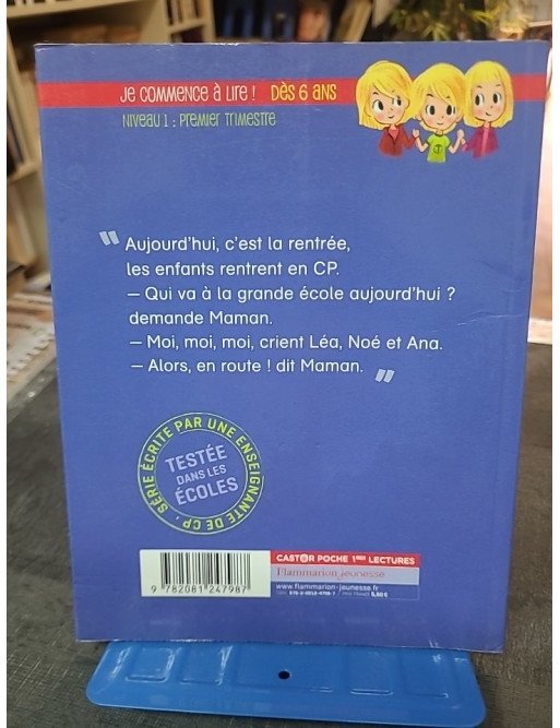 Samantha, 15 ans, héroïne d'un jour par Meg Cabot - Le roman jeunesse de la collection Bloom