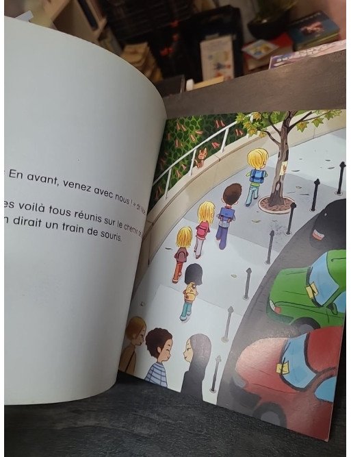 Samantha, 15 ans, héroïne d'un jour par Meg Cabot - Le roman jeunesse de la collection Bloom