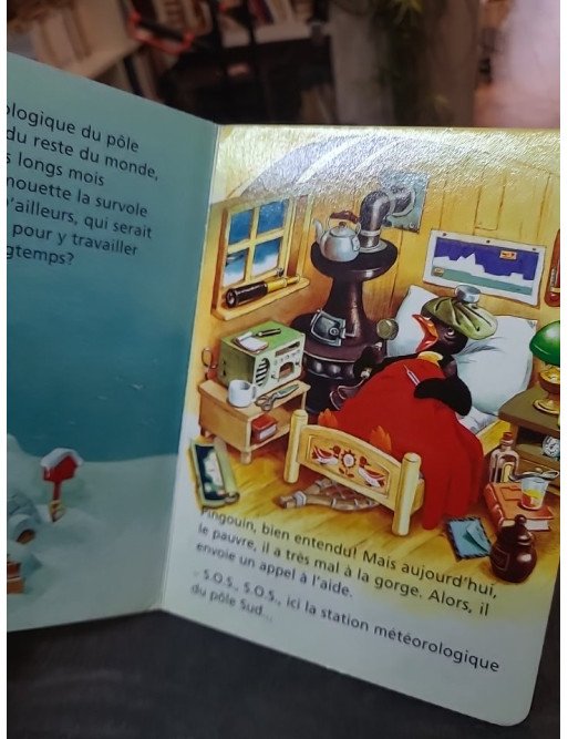 L'Aventure Au Pôle Sud de Tony Wolf - Livre illustré pour enfants