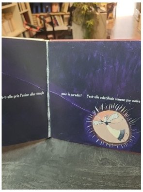 Mamie Marie : Album jeunesse par Laura Jaffé et Aurélia Fronty - Rouergue