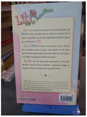 Lily et le Bouffon de Nancy Rue - Collection Fleuve Dynamots Jeunesse