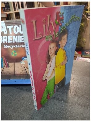 Lily et le Bouffon de Nancy Rue - Collection Fleuve Dynamots Jeunesse