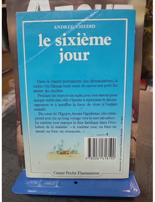 Le Sixième Jour : Un récit poignant d'Andrée Chedid sur la survie et l'amour maternel, Collection Castor Poche