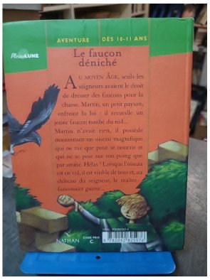 Le Faucon déniché de Jean-Côme Noguès - Roman Jeunesse