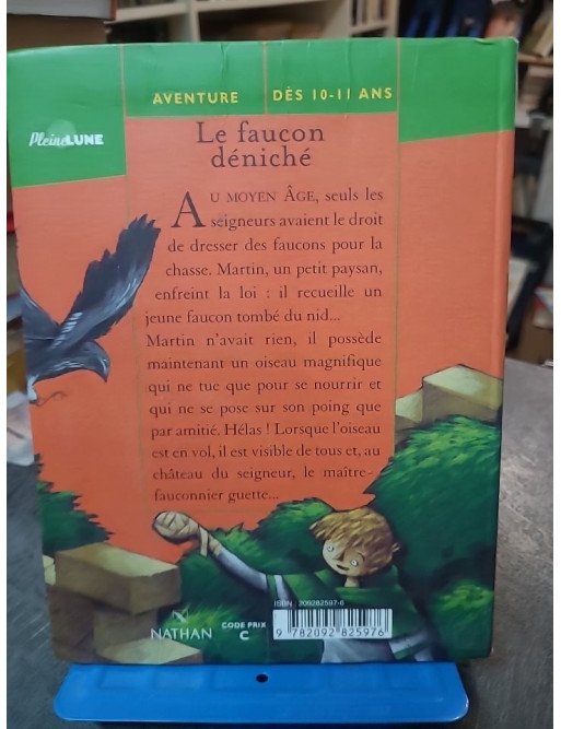 Le Faucon déniché de Jean-Côme Noguès - Roman Jeunesse