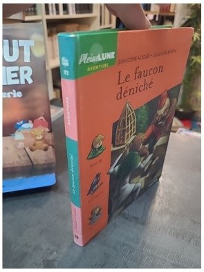Le Faucon déniché de Jean-Côme Noguès - Roman Jeunesse
