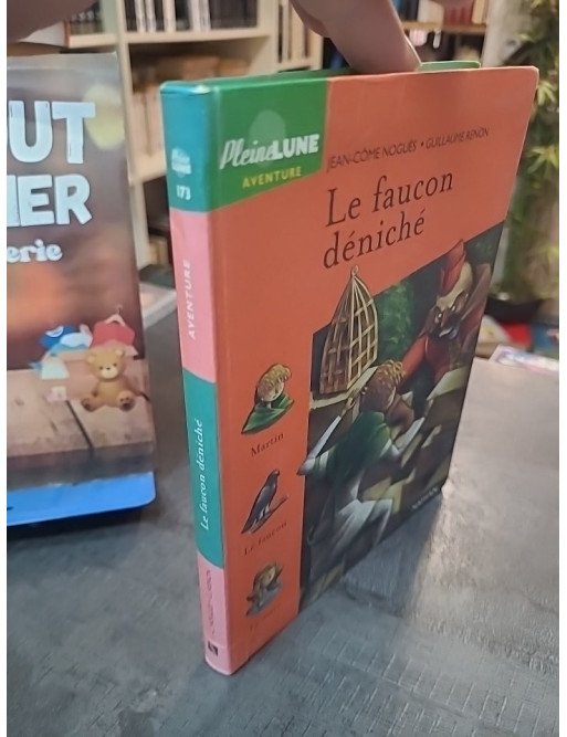 Le Faucon déniché de Jean-Côme Noguès - Roman Jeunesse