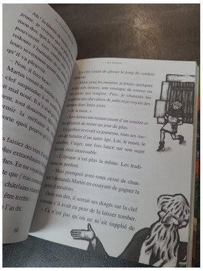 Le Faucon déniché de Jean-Côme Noguès - Roman Jeunesse