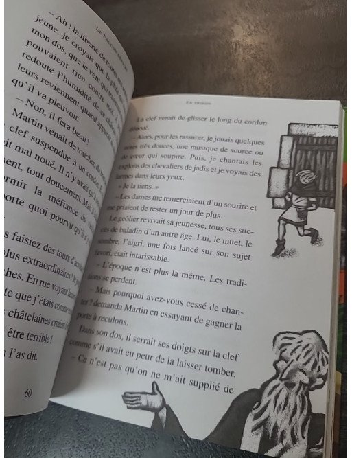 Le Faucon déniché de Jean-Côme Noguès - Roman Jeunesse