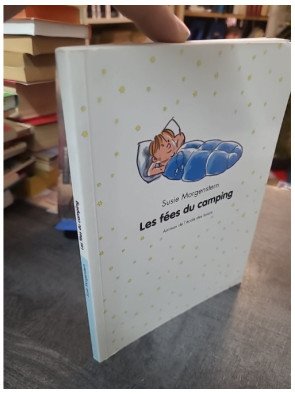 Les fées du camping de Susie Morgenstern - Roman jeunesse humour et aventure