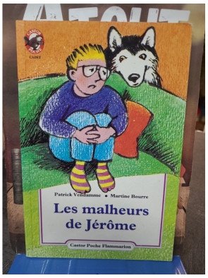 Les Malheurs de Jérôme de Patrick Vendamme - Récit humoristique jeunesse sur les petits tracas du quotidien