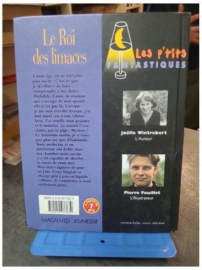 Le Roi des limaces - Conte fantastique pour enfants par Joëlle Wintrebert
