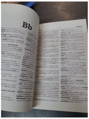 Dictionnaire Harrap's Poche espagnol français - Vocabulaire actuel et conjugaisons