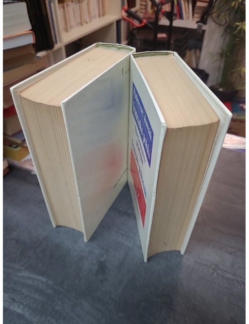 Dictionnaire Pratique Français-Polonais (Podreczny Slownik Francusko-Polski) par Kupisz et Kielski
