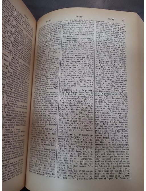 Dictionnaire français-latin : L'outil de référence pour les classes par Georges Édon (Édition 1908)