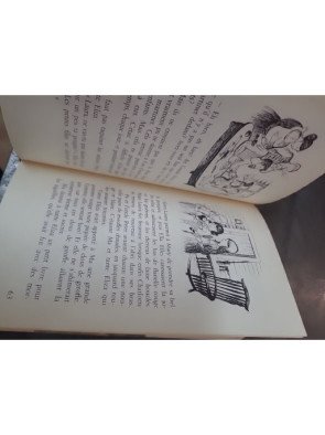 La Petite maison dans les grands bois - Le roman jeunesse de Laura Ingalls Wilder (F. Nathan 1968)