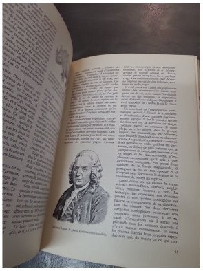 Les Animaux Préhistoriques (Illustrations V. Hancke) - K. Petersen - Livre jeunesse/documentaire (1973)