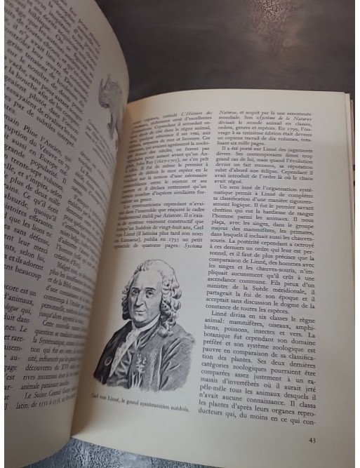 Les Animaux Préhistoriques (Illustrations V. Hancke) - K. Petersen - Livre jeunesse/documentaire (1973)