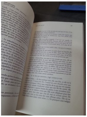 Mère et Fils : Analyse d'une Relation Passionnelle - Sociologie par Nicole Czechowski