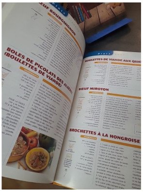 1000 Recettes pour Tous les Jours : Cuisine Facile et Saisonnière par Mariel
