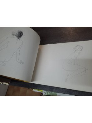 Arabesques : Édition Originale Illustrée par Jean-Baptiste VALADIé, Visions Nouvelles 1977 ( avec lithographie a l'interieure )