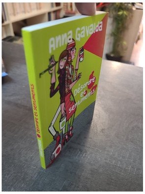 Désordre et sentiments : Le roman court et touchant d'Anna Gavalda sur les aléas de l'amour