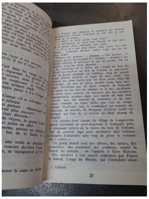 La Guerre des boutons : Le célèbre roman d'enfance et d'amitié de Louis Pergaud (Folio Junior)