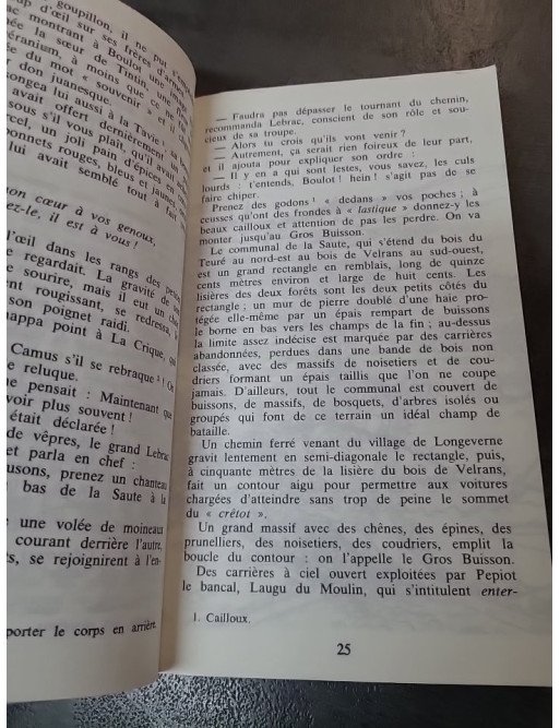 La Guerre des boutons : Le célèbre roman d'enfance et d'amitié de Louis Pergaud (Folio Junior)