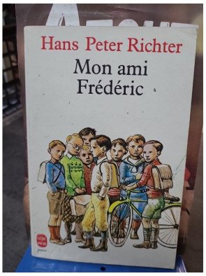 Mon ami Frédéric : le poignant roman sur l'amitié durant l'Holocauste par Hans Peter Richter