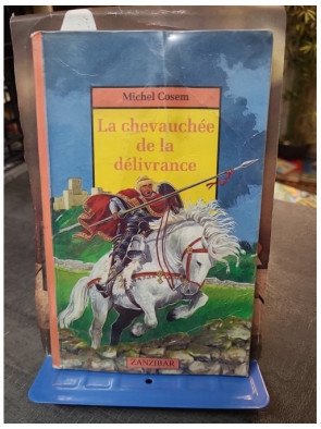 La Chevauchée de la délivrance : le roman fantastique de Jaufré par Michel Cosem