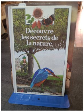 Découvre les secrets de la nature : un livre de poche illustré pour les jeunes lecteurs par Laura Bour